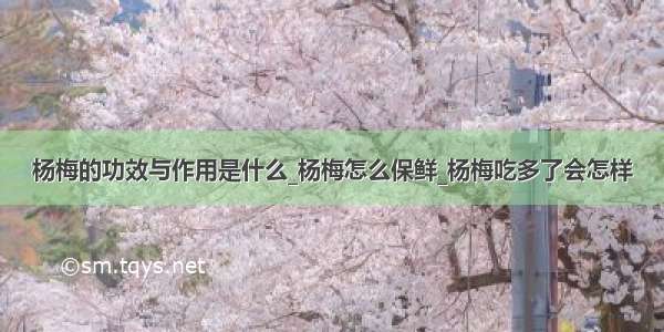 杨梅的功效与作用是什么_杨梅怎么保鲜_杨梅吃多了会怎样