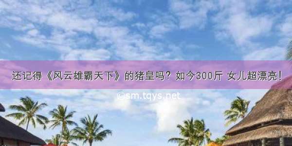 还记得《风云雄霸天下》的猪皇吗？如今300斤 女儿超漂亮！