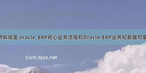 erp物料报废 oracle_ERP核心业务流程和Oracle-ERP业务和数据对象分析