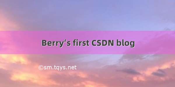 Berry‘s first CSDN blog