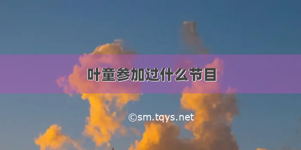 叶童参加过什么节目