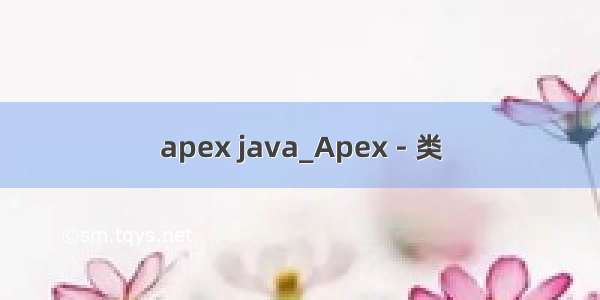 apex java_Apex - 类