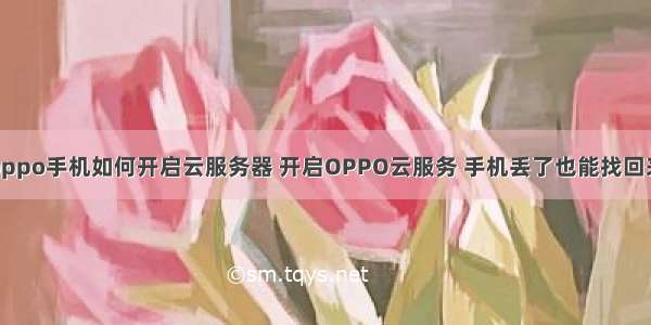 oppo手机如何开启云服务器 开启OPPO云服务 手机丢了也能找回来