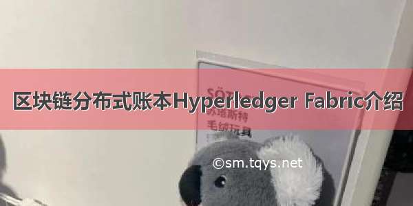 区块链分布式账本Hyperledger Fabric介绍