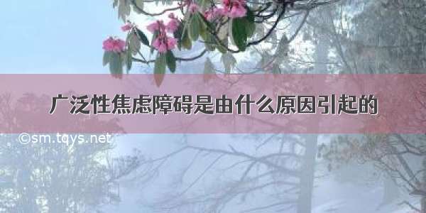 广泛性焦虑障碍是由什么原因引起的