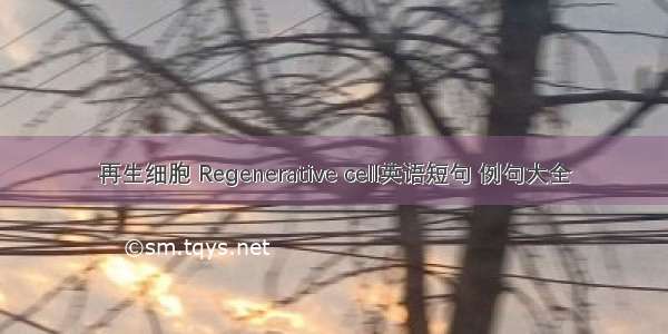 再生细胞 Regenerative cell英语短句 例句大全