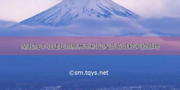 湖北咸丰县建起恩施州面积最大蓝莓试种实验基地