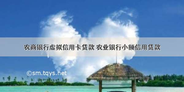 农商银行虚拟信用卡贷款 农业银行小额信用贷款