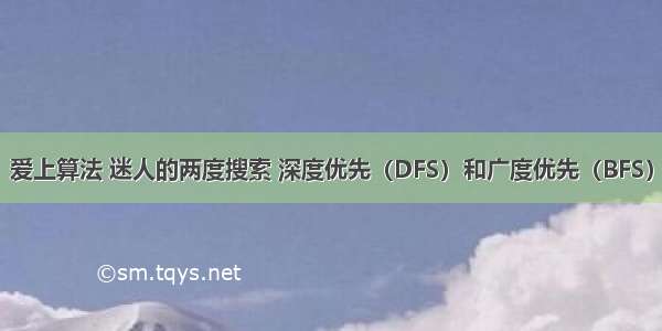 爱上算法 迷人的两度搜索 深度优先（DFS）和广度优先（BFS）