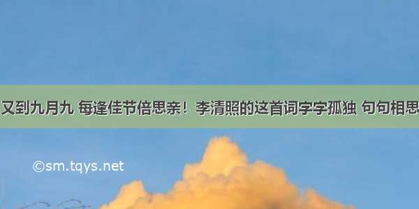 又到九月九 每逢佳节倍思亲！李清照的这首词字字孤独 句句相思