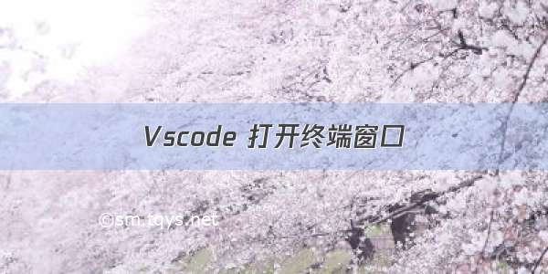 Vscode 打开终端窗口