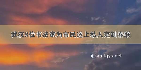 武汉8位书法家为市民送上私人定制春联