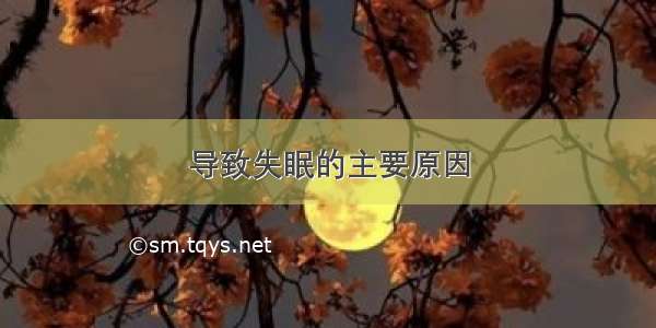 导致失眠的主要原因