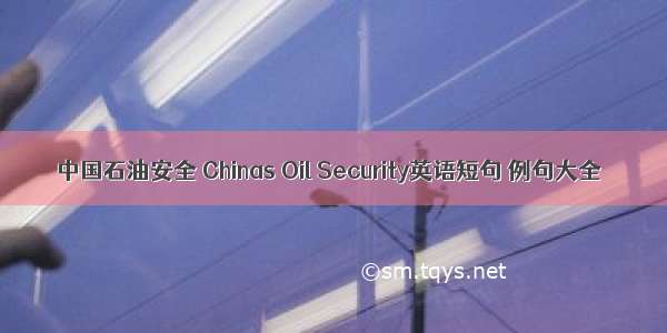 中国石油安全 Chinas Oil Security英语短句 例句大全