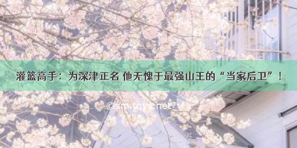 灌篮高手：为深津正名 他无愧于最强山王的“当家后卫”！