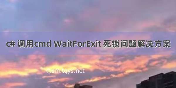 c# 调用cmd WaitForExit 死锁问题解决方案