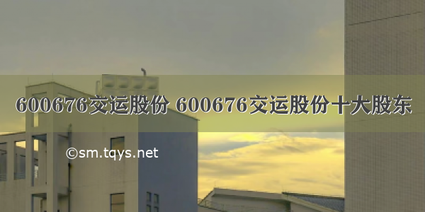 600676交运股份 600676交运股份十大股东