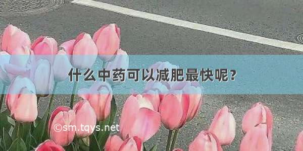 什么中药可以减肥最快呢？