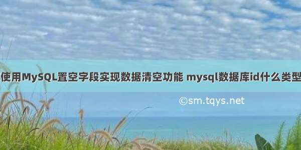 如何使用MySQL置空字段实现数据清空功能 mysql数据库id什么类型转换