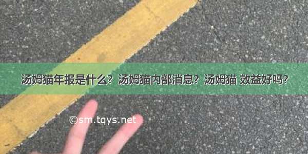 汤姆猫年报是什么？汤姆猫内部消息？汤姆猫 效益好吗？