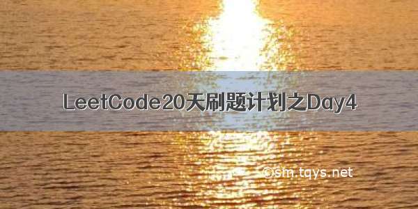 LeetCode20天刷题计划之Day4