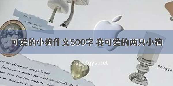 可爱的小狗作文500字 我可爱的两只小狗