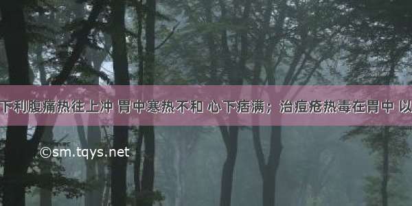 黄连汤■下利腹痛热往上冲 胃中寒热不和 心下痞满；治痘疮热毒在胃中 以致腹痛 甚