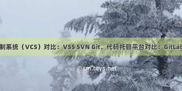 各家版本控制系统（VCS）对比：VSS SVN Git。代码托管平台对比：GitLab GitHub 码