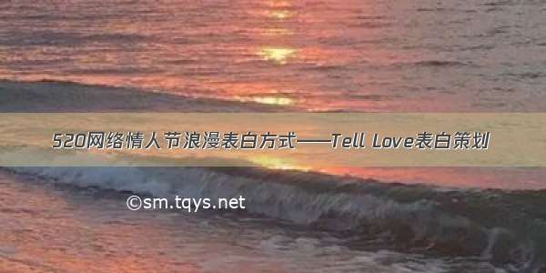 520网络情人节浪漫表白方式——Tell Love表白策划