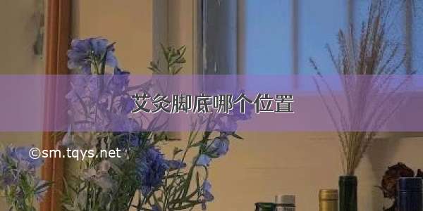 艾灸脚底哪个位置