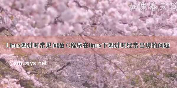 Linux调试时常见问题 C程序在linux下调试时经常出现的问题