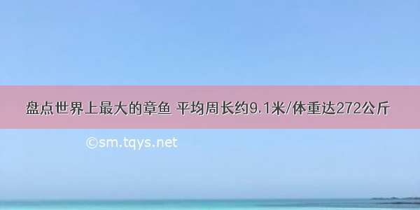 盘点世界上最大的章鱼 平均周长约9.1米/体重达272公斤