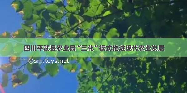 四川平武县农业局“三化”模式推进现代农业发展
