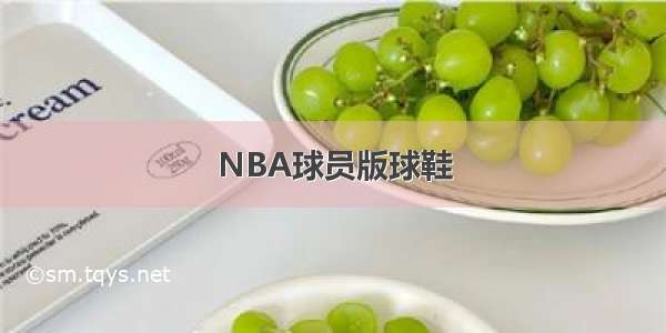 NBA球员版球鞋