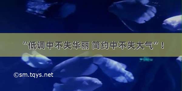 “低调中不失华丽 简约中不失大气”！