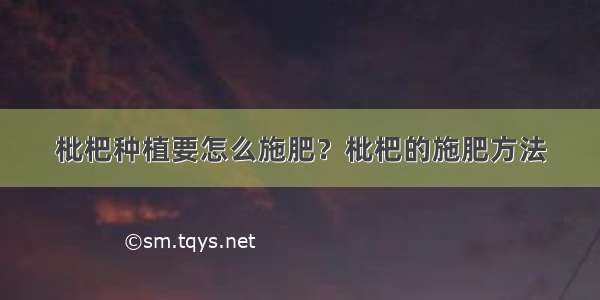 枇杷种植要怎么施肥？枇杷的施肥方法