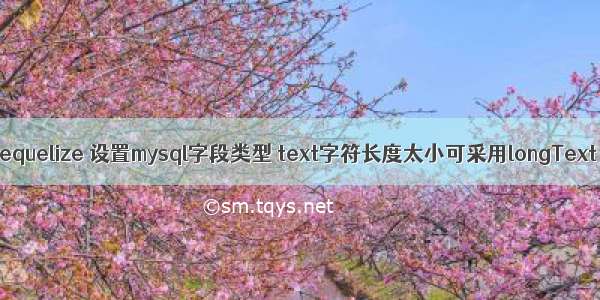 sequelize 设置mysql字段类型 text字符长度太小可采用longText