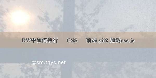 DW中如何换行 – CSS – 前端 yii2 加载css js