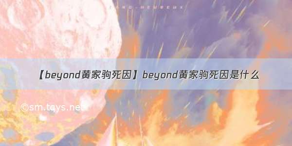 【beyond黄家驹死因】beyond黄家驹死因是什么