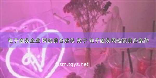 电子商务企业 网站前台建设 苏宁 电子商务网站的前台操作