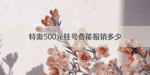 特需500元挂号费能报销多少