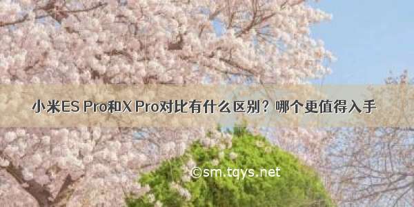 小米ES Pro和X Pro对比有什么区别？哪个更值得入手