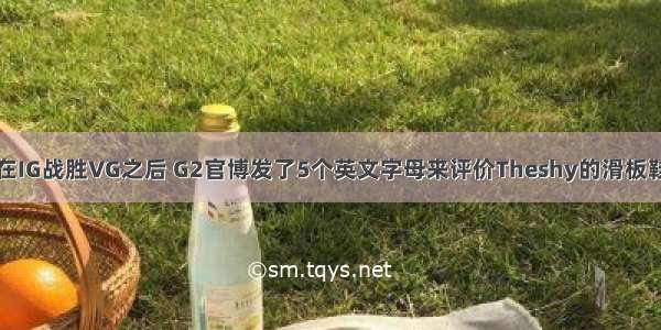 在IG战胜VG之后 G2官博发了5个英文字母来评价Theshy的滑板鞋