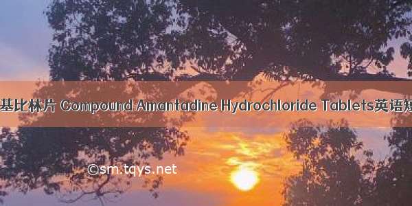 复方金刚烷胺氨基比林片 Compound Amantadine Hydrochloride Tablets英语短句 例句大全