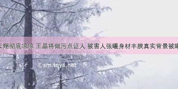 高云翔彻底凉凉 王晶将做污点证人 被害人张曦身材丰腴真实背景被曝光！