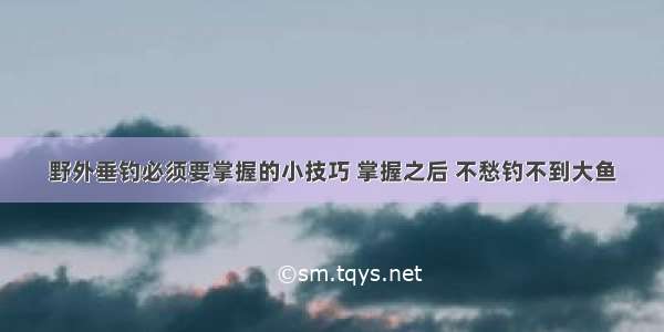 野外垂钓必须要掌握的小技巧 掌握之后 不愁钓不到大鱼