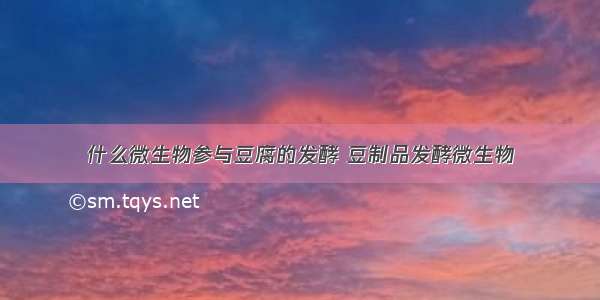 什么微生物参与豆腐的发酵 豆制品发酵微生物