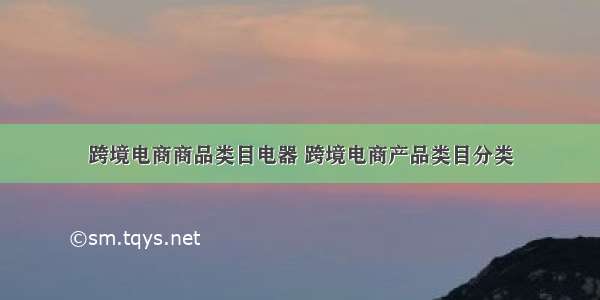 跨境电商商品类目电器 跨境电商产品类目分类