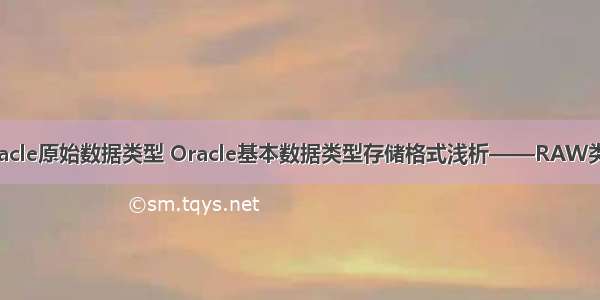 oracle原始数据类型 Oracle基本数据类型存储格式浅析——RAW类型