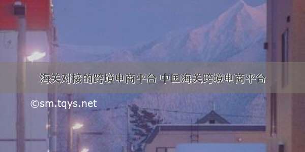 海关对接的跨境电商平台 中国海关跨境电商平台